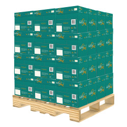 Bancale Carta A4 PaperOne Copier 80gr - 240 risme per fotocopie e stampe professionali Bancale Carta A4 PaperOne Copier 80gr - 240 risme per fotocopie e stampe professionali