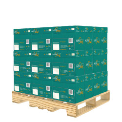 Carta A4 PaperOne Copier 80gr - Bancale 180 risme per fotocopie e stampe professionali Carta A4 PaperOne Copier 80gr - Bancale 180 risme per fotocopie e stampe professionali