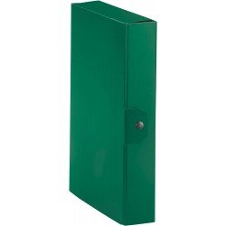 Esselte C26 EUROBOX Cartella per Progetti - 25 x 35 cm - Dorso 6 cm - Verde - Confezione da 1