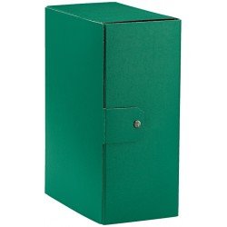 Esselte C35 EUROBOX Cartella per Progetti - 25 x 35 cm - Dorso 15 cm - Verde - Confezione da 1